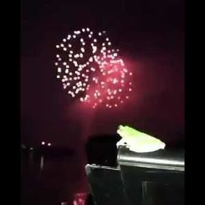 Meet your Posher, Ethan